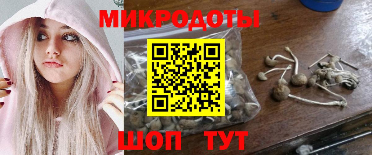Галлюциногенные грибы Cubensis Гусиноозёрск