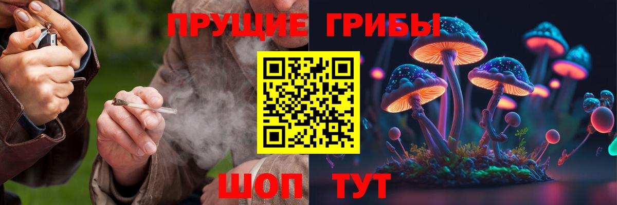 Псилоцибиновые грибы GOLDEN TEACHER  цены   Гусиноозёрск  Вход с VPN 